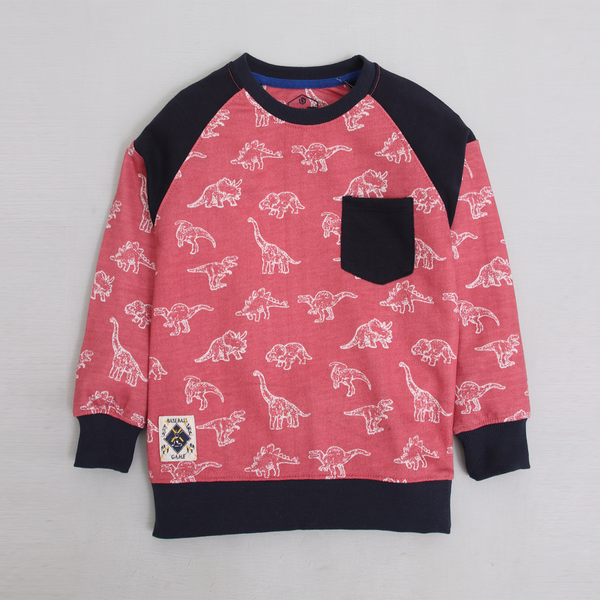 Dinosaur Graphic Sweatshirt